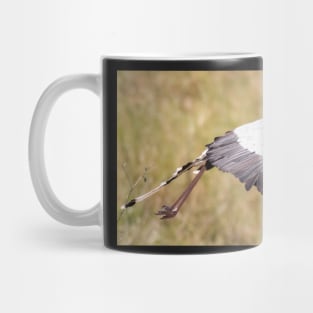 Secretary Bird in flight Mug